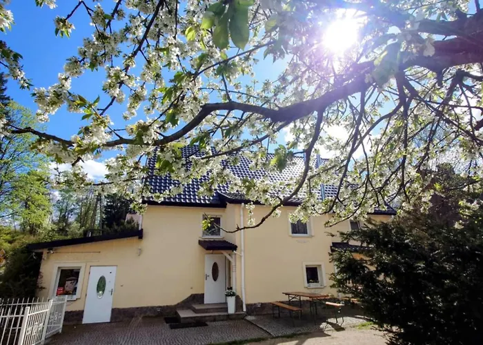 Gosciniec Jas -sniadania I Obiadokolacje Szwedzki Stol W Cenie Bezplatny Parking Rezort Sklářská Poruba