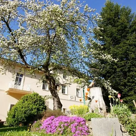 Gosciniec Jas -sniadania I Obiadokolacje Szwedzki Stol W Cenie Bezplatny Parking