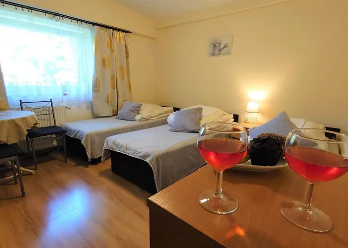 Gosciniec Jas -sniadania I Obiadokolacje Szwedzki Stol W Cenie Bezplatny Parking Resort